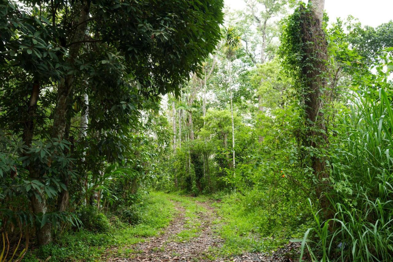 Apartamento Mystic Trees, Kumily Thekkady Exterior foto