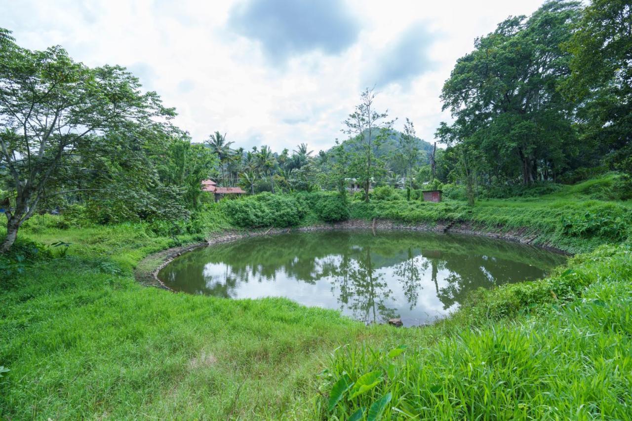 Apartamento Mystic Trees, Kumily Thekkady Exterior foto